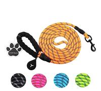 Laisse Chien, 10m/3m/2m Laisse de Dressage pour Chien,Convient pour Les Chiens de Taille Moyenne et Grande,avec poignées Confortables et Lignes réfléchissantes Plus évidentes (Orange, 3M)
