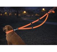 Laisse Chien - Laisse d’entraînement Fierro Fluo Orange - 200 cm x 25 mm - Nylon - réglable 3 Positions - Mains Libres - réfléchissante - mousquetons métalliques