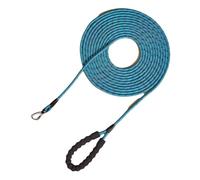 Laisse Chien Longe pour Chien 10m Cordon de Serrage Crochet et Boucle (Green,2m/1.2cm)