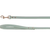 Flamingo Laisse pour Chien NELA Vert Menthe pour Chien - 130cm 15mm - Durable, Sécurisée et Élégante, Adaptée à Toutes Les Races