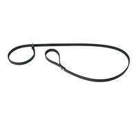 Laisse collier pour chien Martin Sellier Noir TU
