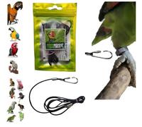 Laisse corde élastique harnais avec crochet 37 mm épaisseur 2,5 mm de long 1 mètre, à insérer à la patte de votre paquet, pour le porter en rond, pour toutes les races moyennes grandes,