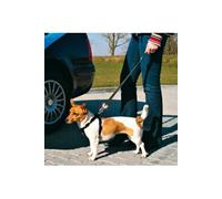 Laisse Courte De Rechange, 45-70 Cm/30 Mm - Mon Animalerie