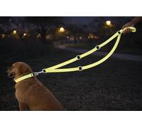 Laisse d’entraînement Chien - Fergu Fluo Jaune - 200 cm x 25 mm - Nylon - 3 Positions - Mains Libres
