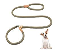 Laisse de Chien en Nylon, Laisse Dressage Chien, Laisse Coulissante, Laisse Lasso pour Chien, Collier Laisse Chien pour Petits et Moyens Chiens Noir Corde Laisse Chien, Laisse Chien Corde