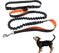 Laisse de chien pour jogging walking Daisy amortisseur 130-200 cm