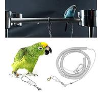 Laisse de Corde Volante Flexible de 9,7 Pieds, Outil de Chasse aux Oiseaux Portable, Léger et Résistant aux Morsures pour Animaux de Compagnie, Plis d'oiseaux pour Le Vol
