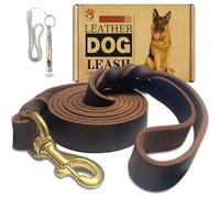 Laisse de Dressage en Cuir véritable tressé, Robuste, Confortable pour Chiens de Petite, Moyenne et Grande Taille, 1,8 m x 2,5 cm (Marron)