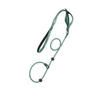 Laisse de dressage en nylon pour chien avec double poignée - Très résistante - Ne tire pas - Vert