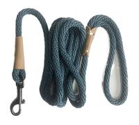 Laisse de Dressage for Chiens ， Laisse de Suivi légère for Chiens de Petite et Moyenne Taille Laisse Longue for Chien(Sky Blue,500cm)