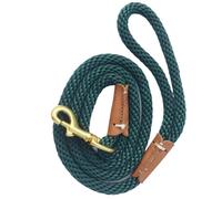 Laisse de Dressage for Chiens ， Laisse de Suivi légère for Chiens de Petite et Moyenne Taille Laisse Longue for Chien(Green,150cm)