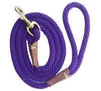 Laisse de Dressage for Chiens ， Laisse de Suivi légère for Chiens de Petite et Moyenne Taille Laisse Longue for Chien(Purple,300cm)