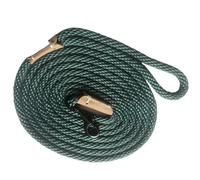 Laisse de Dressage for Chiens ， Laisse de Suivi légère for Chiens de Petite et Moyenne Taille Laisse Longue for Chien(Light Green,500cm)