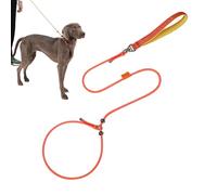 Laisse de dressage pour chien pour promenade, sangle de cou réglable de 150 cm | Harnais anti-évasion pour chiot avec rotation à 360 degrés anti-nœuds
