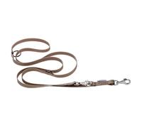 Laisse de Dressage pour Chiens EVOLUTION GA16/200 Hypoallergénique, Lavable, Poignée rembourrée, Taupe
