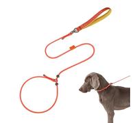 Laisse de dressage pour chiots, laisses pour chiens de petite taille,Corde de traction réglable pour animaux de compagnie de 59 pouces pour chiens - Harnais de cou pour chiot anti-évasion, rotation an