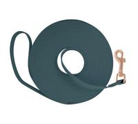 Laisse de Dressage Pratique et Imperméable pour Chien Longe Extérieur