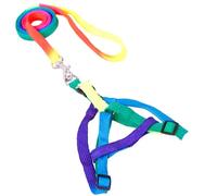 Laisse de Poitrine Colorée en Nylon Ajustable 1, 0cm pour Chiot | Harnais à Cordon, Taille de Buste Réglable, Mise en Place Rapide, Usage Quotidien et Fête Couleur Aléatoire