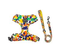 Laisse de Poitrine et de Dos for Animaux de Compagnie, Corde de Promenade for Petit Chien, Laisse for Chien Corgi Teddy, Ensemble de Deux pièces