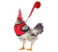 Laisse De Poulet - pour De Vrais Canards, Harnais De Poulet en Réglable avec Laisse, Magnétique Confortable Poule | Câblage D'entraînement Respirant pour Un Animal De Compagnie