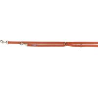 Laisse de prolongation premium 2,00 m/15 mm rouille