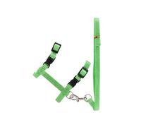 Laisse de promenade pour animal domestique, couleur unie, confortable, réutilisable, portable, accessoire anti-fuite, vert