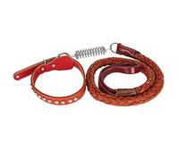 Laisse de Promenade pour Chien avec Collier, Laisse et Collier Anti-Perte pour Chiens de Grande et Moyenne Taille, Laisse en Cuir Artificiel à Deux Couches avec Crochet Amortisseur (Brun)