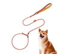 Laisse de promenade pour chien, laisses de dressage pour chiens pour la marche - Harnais antidérapant pour chien moyen de 59 pouces - Sangle de cou de traction pour animaux de compagnie, réglable, rot
