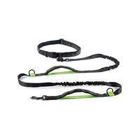 Laisse de sport pour chien en nylon pour le jogging avec ceinture Record
