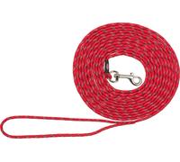 Laisse de traction pour chiots junior, environ 4 m/ø 4 mm rouge