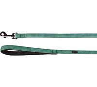 Laisse DELU Vert 100CM 15MM