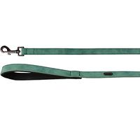 Laisse DELU Vert 100CM 20MM
