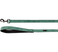 Laisse DELU Vert 130CM 15MM