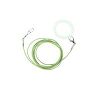 Laisse d'entraînement au vol pour perroquets avec chaîne anti-fuite, corde de sécurité extérieure durable pour aras, pour le contrôle du vol et l'exercice,Vert,2 m
