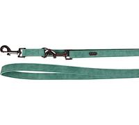 Laisse D'ENTRAÎNEMENT DELU Vert 205CM 20MM