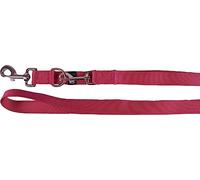 Laisse D'ENTRAÎNEMENT ZIGGI Rouge CÉRISE 250CM 25MM