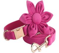Laisse douce et confortable pour chien avec fleur amovible et boucle en métal réglable et anneau en D mignon et élégant pour chiens, idéal pour un usage quotidien et des occasions spéciales