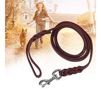 Laisse dressée pour Chiot en Cuir pour Chiens de Taille Moyenne et Grande[1.6m] Colliers