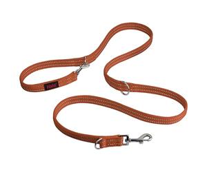 Laisse éducative Halti | Taille L, Orange Brûlé, 2m | 7 Fonctions Conçues pour vous aider a Éduquer et Promener votre Chien, Laisse de Dressage pour Chien à Double Attache