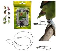 Laisse élastique A1 4 mm x 1 m avec mousqueton de 1 mm à insérer à l'anneau de la patte de votre perroquet pour l'emmener en déplacement, rembourrage patte, laisse harnais PP