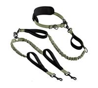 Laisse élastique pour animal domestique - Drag à une main - Deux cordes de marche - Accessoires pour chiens de petite et grande taille (vert foncé)