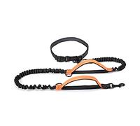 Laisse élastique rétractable pour grands chiens - Double poignée, idéale pour la course - Orange vif