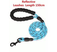 Laisse en nylon réfléchissant, universelle pour chats et chiens, avec poignée en mousse, confortable et sécuritaire, convient pour la marche, les voyages et la randonnée Violet S,Vert M,Vert S,Violet 