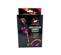 Laisse Et Collier Lumineux Pour Chien Venteo Led Rechargeable Usb Longue Autonomie Résistant À L'eau 3 Modes D'éclairage Réglable Pour Petits/Moyens/Gros Chiens Orange Orange