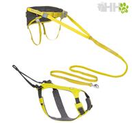 Laisse et harnais pour chien avec une ceinture Ruffwear Omnijore Vert S