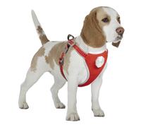 Laisse et harnais pour chien Duvoplus Flashlight Rouge 120x45x1,9 cm