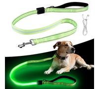 Laisse LED pour chien - Rechargeable par USB - Étanche et réfléchissante - 120 cm - Laisse lumineuse pour les promenades nocturnes - Pour chiens de grande et moyenne taille - Vert