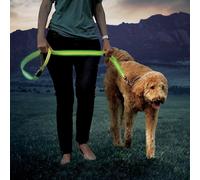 Laisse lumineuse NITEDOG Led Leash NITE IZE - Verte