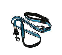 Laisse main libre pour chien Kurgo Quantum Bleu TU