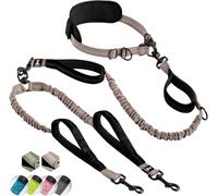 Laisse mains libre pour 2 chiens grande et moyenne taille - laisse anti-traction avec coutures réfléchissantes pour chien - accessoire chien pour le jogging, la marche à pied, la randonnée, l’escalade